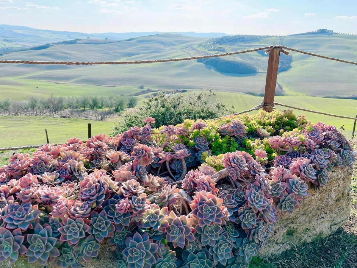 Ferienwohnung Podere Poggio Salto Pienza Exterior foto