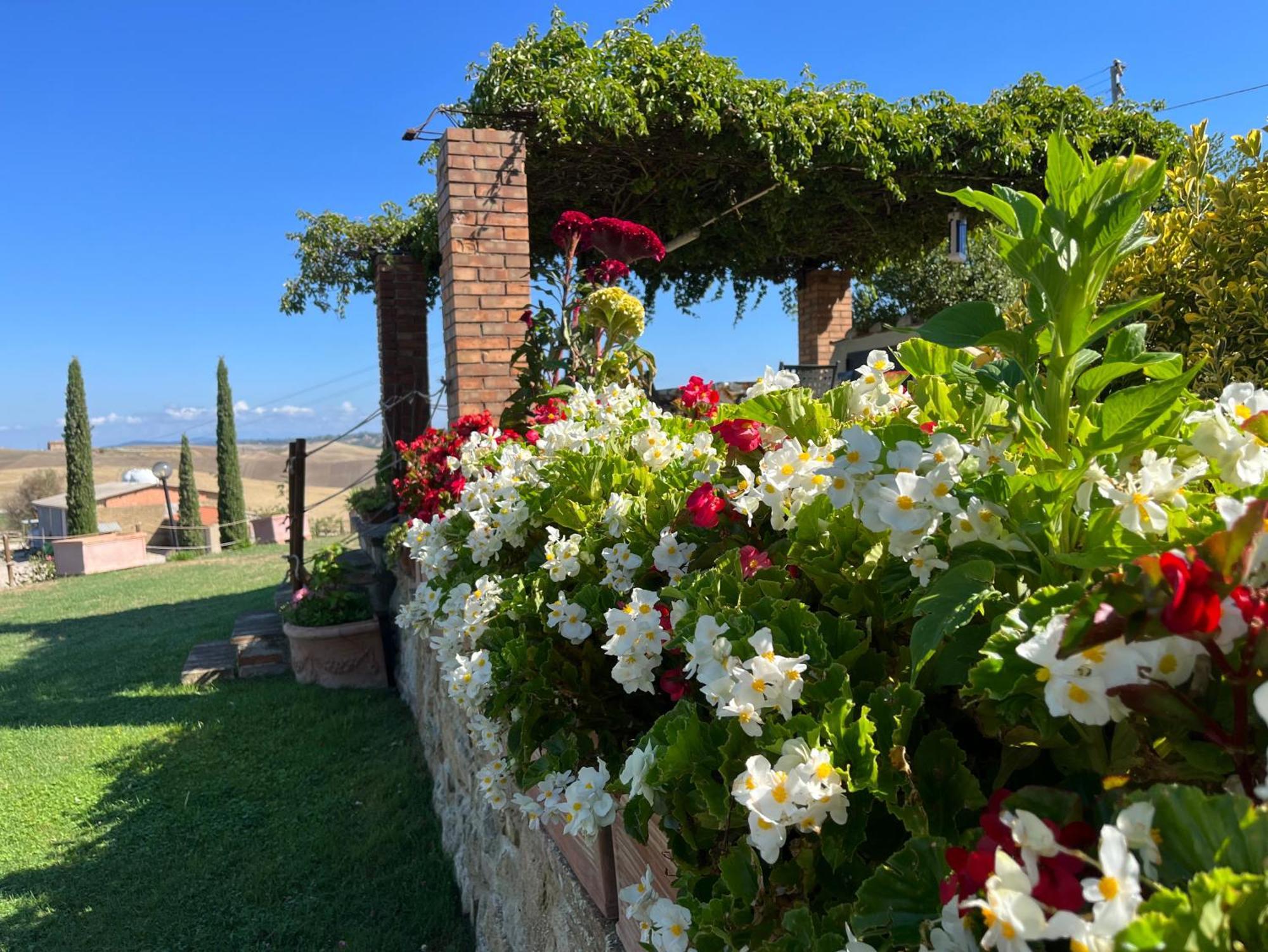 Ferienwohnung Podere Poggio Salto Pienza Exterior foto